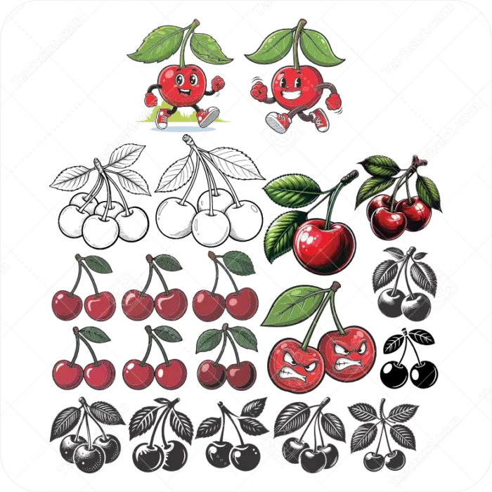 1_tarhcut.com_Cherry-Collection-2_432868