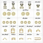 وکتور تمامی درجه های نیرو انتظامی
