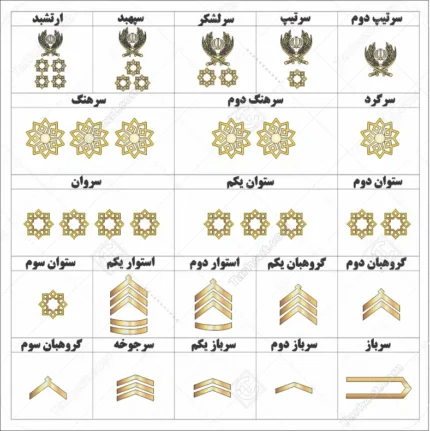 وکتور تمامی درجه های نیرو انتظامی