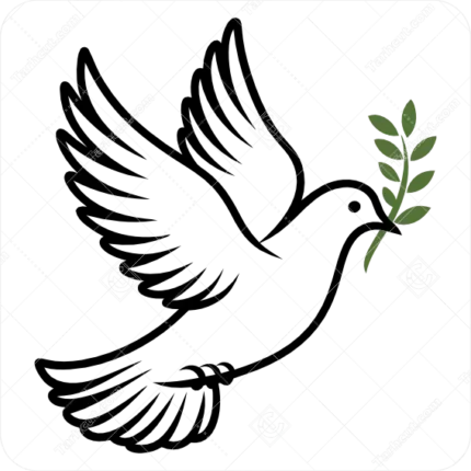 وکتور کبوتر با شاخه زیتون | نماد صلح |