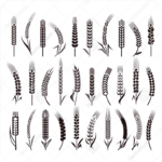 وکتور خوشه گندم