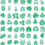 وکتور انواع برگ