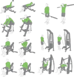 وکتور حرکات باشگاهی 13