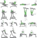 وکتور حرکات باشگاهی 15