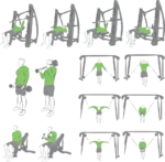 وکتور حرکات باشگاهی 16