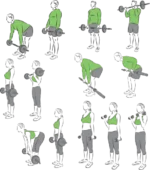 وکتور حرکات باشگاهی 18