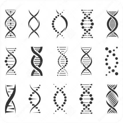 وکتور نماد دی ان ای DNA
