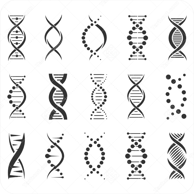 وکتور نماد دی ان ای DNA