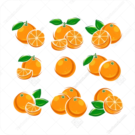 وکتور با کیفیت پرتقال