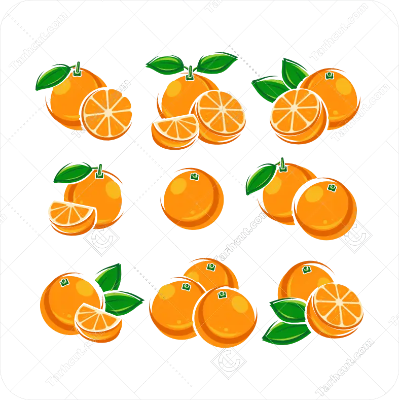 1_tarhcut.com_Orange-vector_026169 وکتور با کیفیت پرتقال