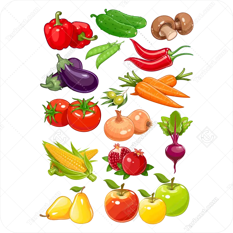 1_tarhcut.com_Vector-vegetables_727187 سبزیجات و میوه ها