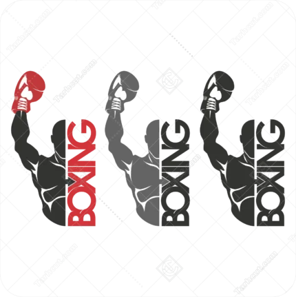 لوگو ورزش بوکس