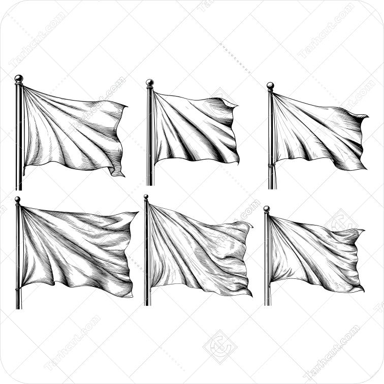 پرچم در حال تکان خوردن