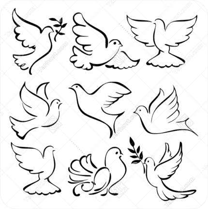 وکتور کبوتر