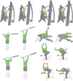 وکتور حرکات باشگاهی 4