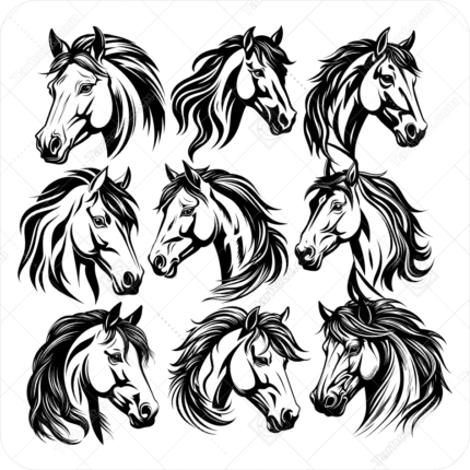 وکتور سر اسب