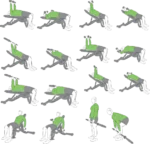 وکتور حرکات باشگاهی 8