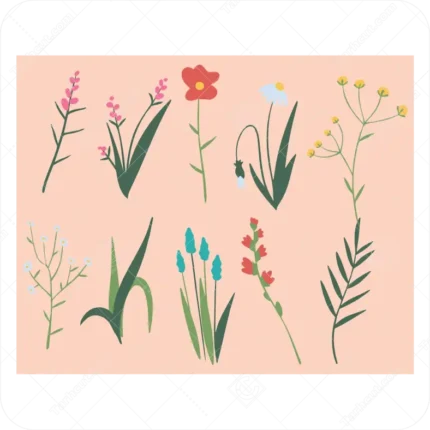 مجموعه گل های وحشی زیبا