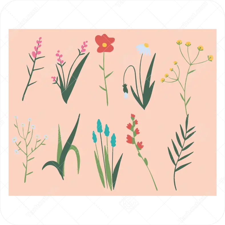 مجموعه گل های وحشی زیبا