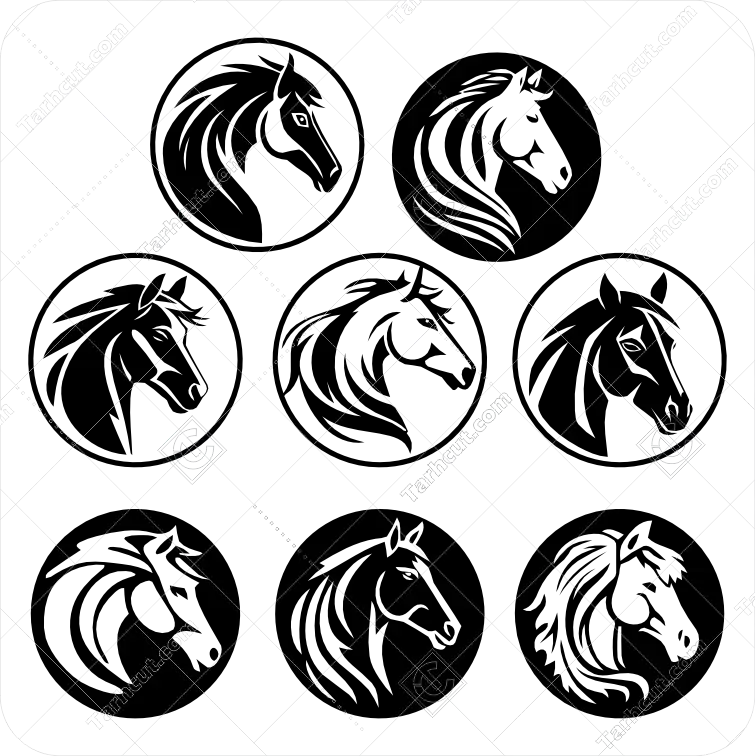 سر اسب متفاوت