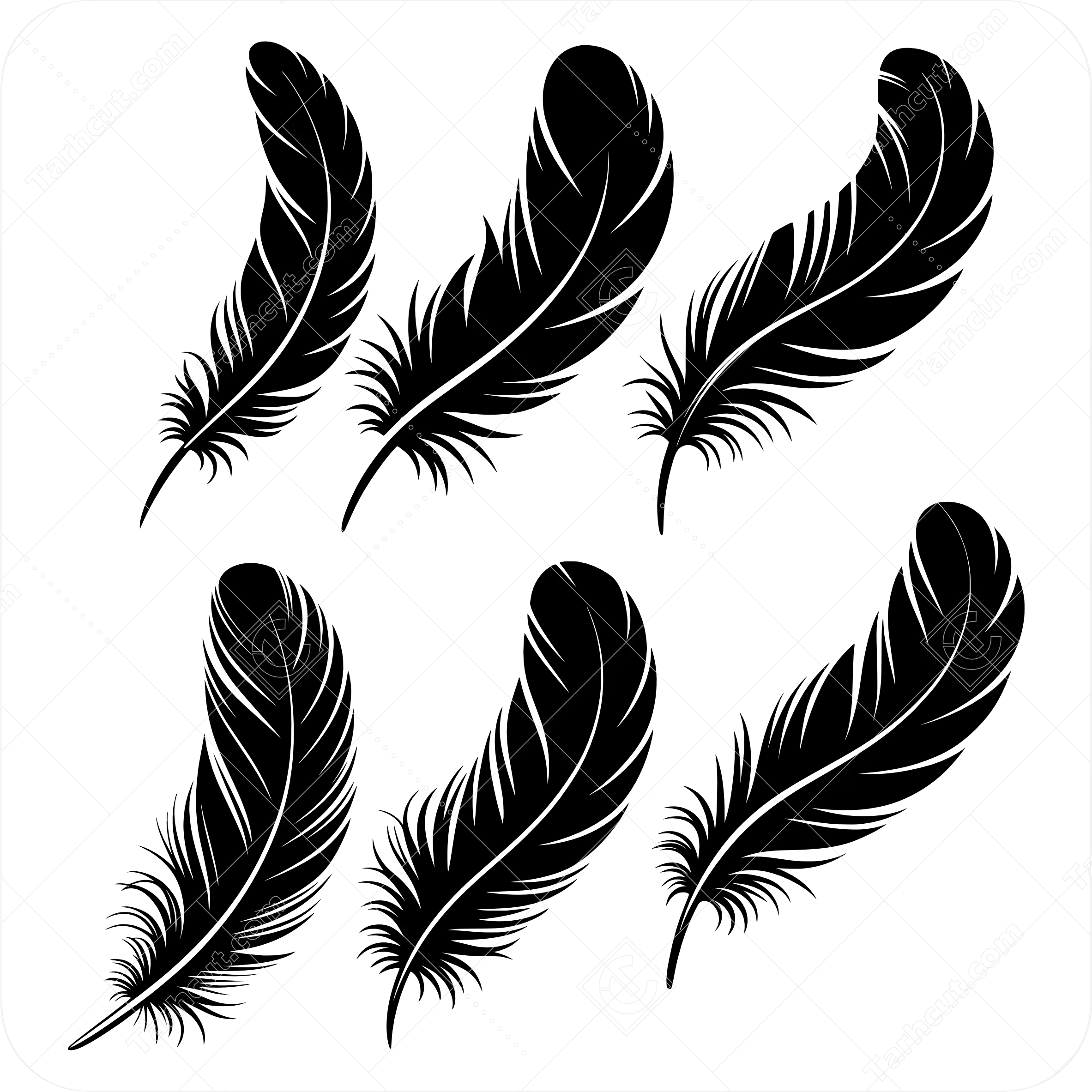 8_tarhcut.com_-feathers-vector_842902 وکتور پر با کیفیت